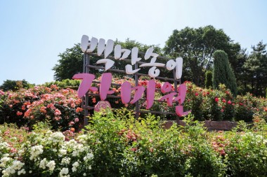 5월24일~6월 8일까지 백만송이장미원 개화시기 불법노점단속용역 진행완료